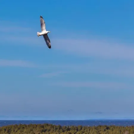 Апартаменты Daukanto Sea View Apartment, By Luxuryrent Паланга