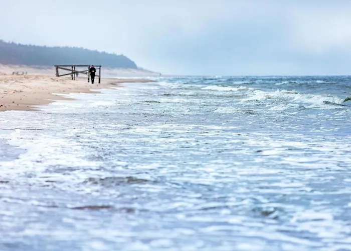 Daukanto Sea View Apartment, By Luxuryrent Appartamento *