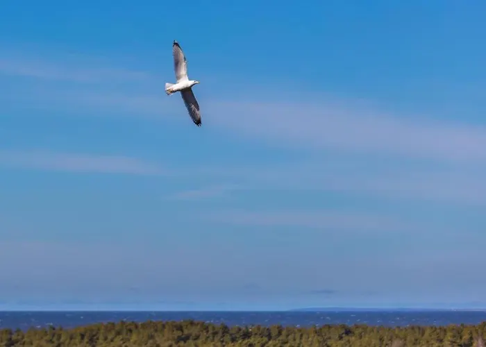 Appartamento Daukanto Sea View Apartment, By Luxuryrent Palanga